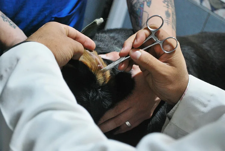Preventive Care